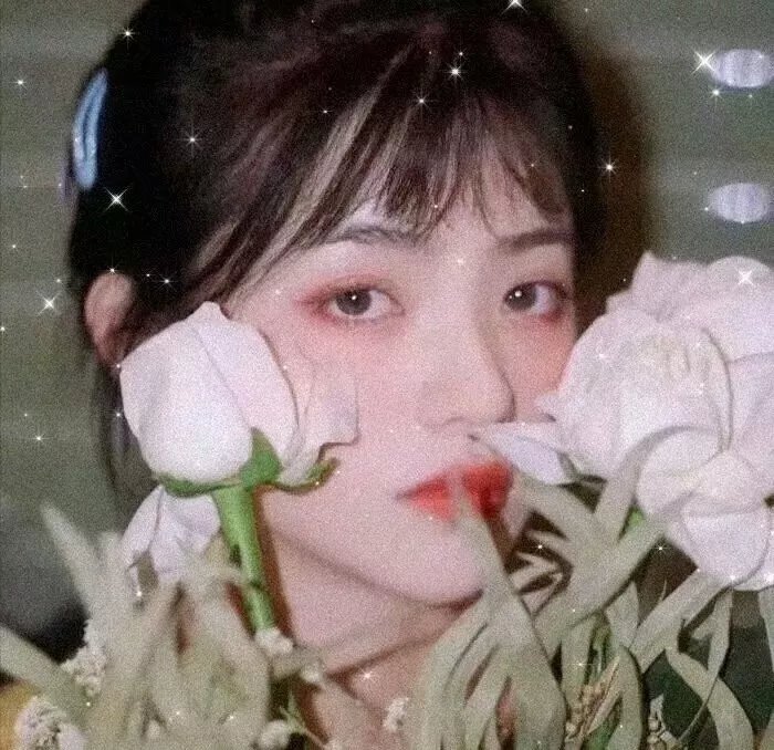 恋上美人鱼